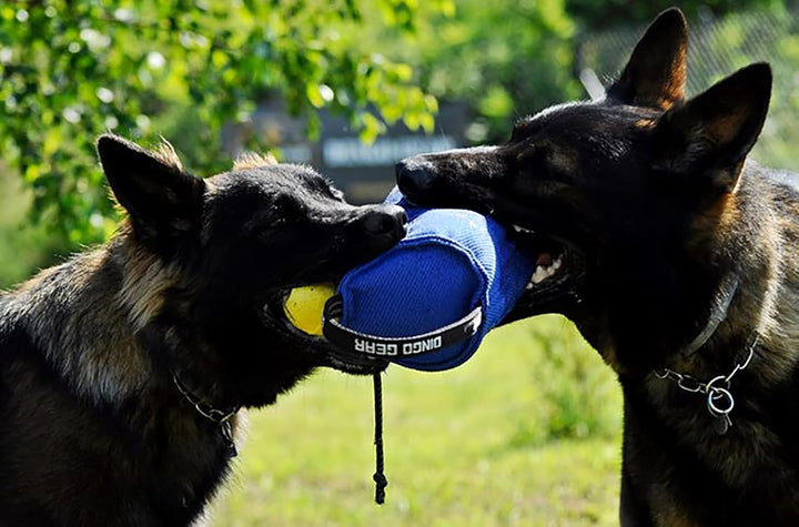 Dingo Gear Beisswurst,Berta'' mit 2 Griff #14cm Länge 30 cm aus französischem Material (Nylcott) für