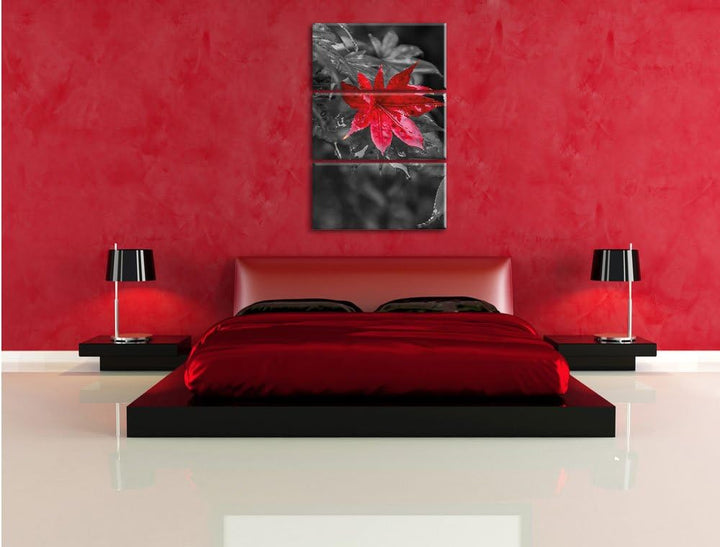 Pixxprint Herbstliches rotes Ahornblatt als Leinwandbild/Grösse: 3 Teilig (120x80) cm/Wandbild/Kunst
