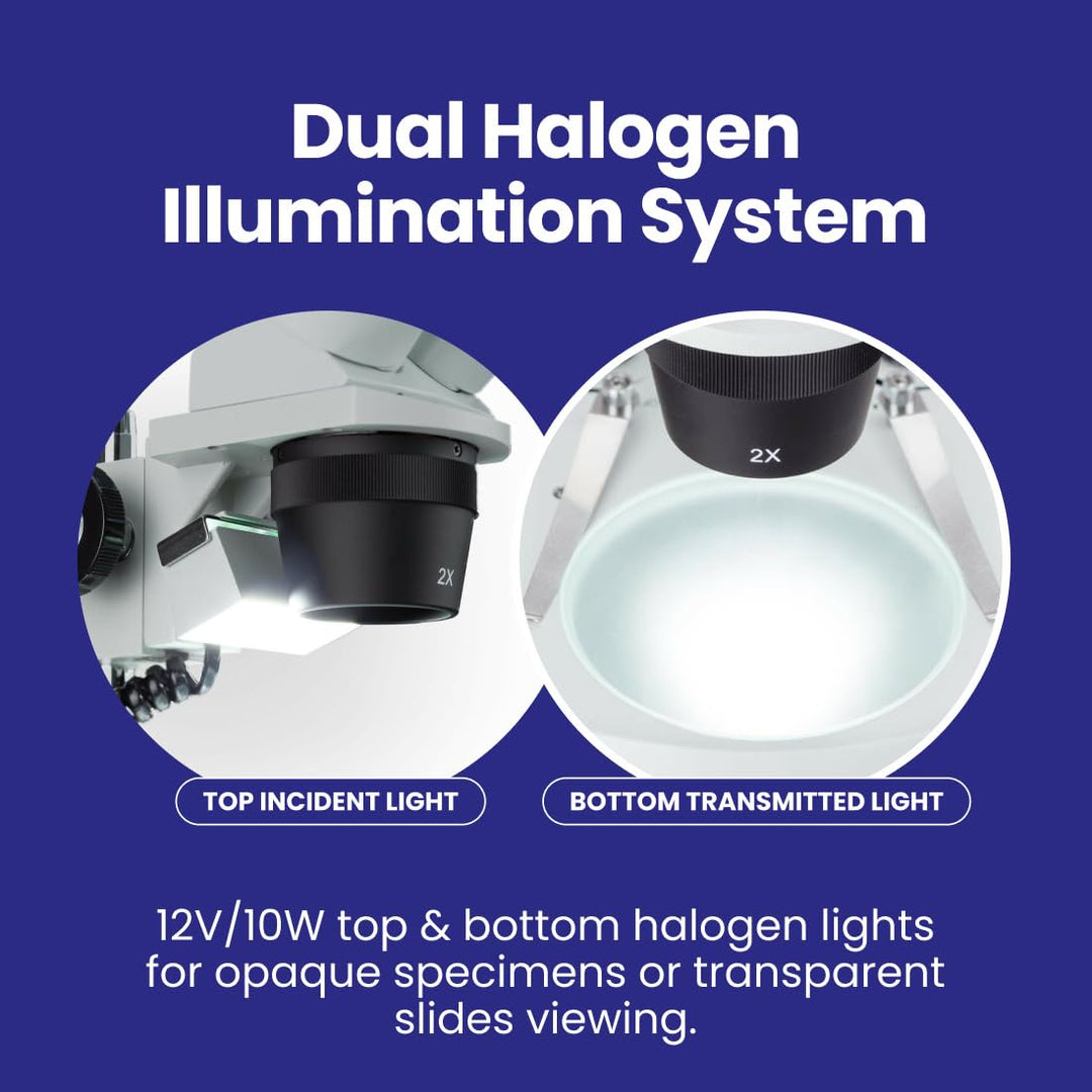 AmScope SE306R-PZ Kompaktes Stereomikroskop mit Mehreren Objektiven und abgewinkeltem Kopf, Metallsä