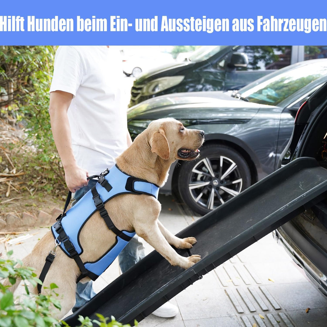 COODEO Hundegeschirr, Ganzkörperstütze und Erholungsweste, verstellbar und atmungsaktiv, für ältere,