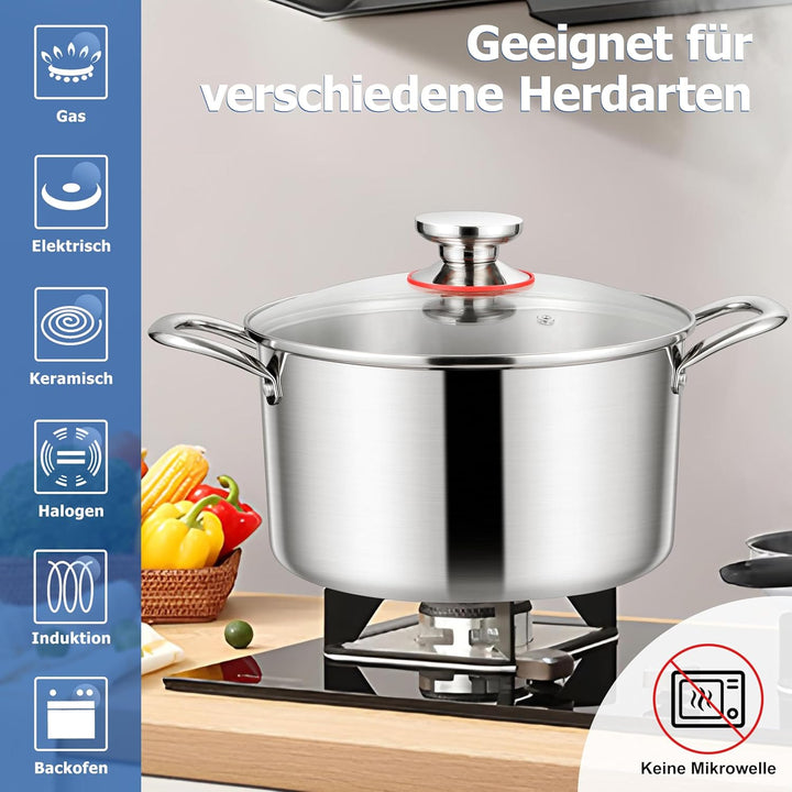 Homikit Kochtopf Gross 6,6L, Topf Induktion mit Glasdeckel, Nudeltopf Fleischtopf aus 3-Lagen Edelst