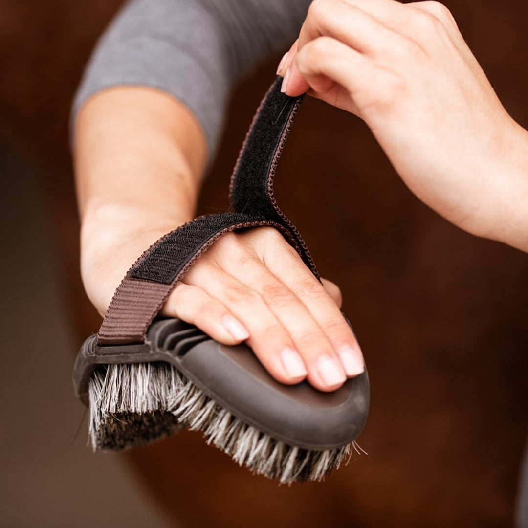 Animalon Basis-Set | Kardätsche, Striegel, Wurzelbürste, Schweif- & Mähnenbürste & Hufbürste | Basis