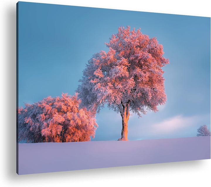 deyoli schneebedeckte Bäume Format: 80x60 als Leinwand, Motiv fertig gerahmt auf Echtholzrahmen, Hoc