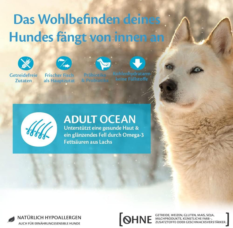 Wellness CORE Adult Ocean, Hundefutter trocken für gesunde Haut & glänzendes Fell, getreidefrei, mit