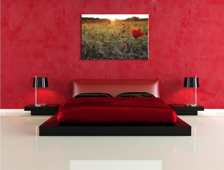 Pixxprint Mohnfeld bei Sonnenuntergang als Leinwandbild/Grösse: 100x70 / Wandbild/Kunstdruck/fertig