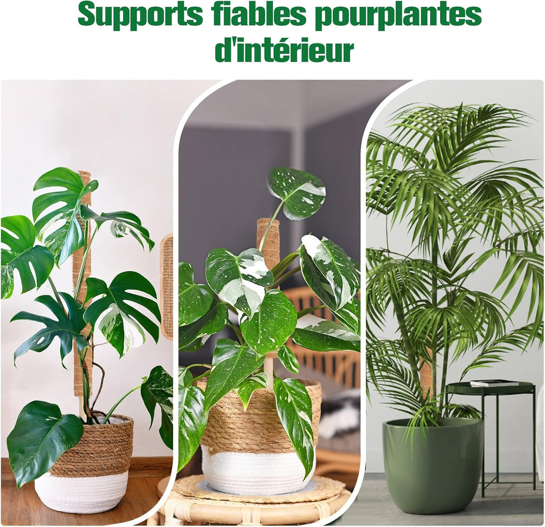 4 Stück Moosstab für Monstera, 40cm Monstera Rankhilfe mit Pflanzen Zubehör, VerläNgerbar Up To160cm