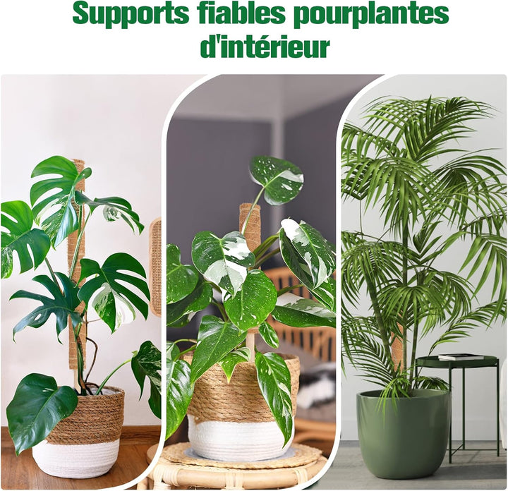4 Stück Moosstab für Monstera, 40cm Monstera Rankhilfe mit Pflanzen Zubehör, VerläNgerbar Up To160cm