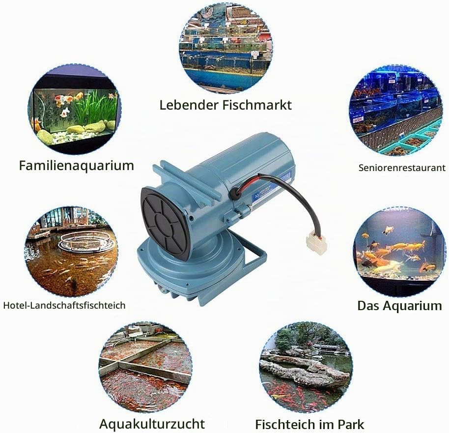 Superleise Aquarium Durchlüfter Luftpumpe, 12v 35W 68 l/min Leistungsstark Sauerstoffpumpe mit 6 Spe