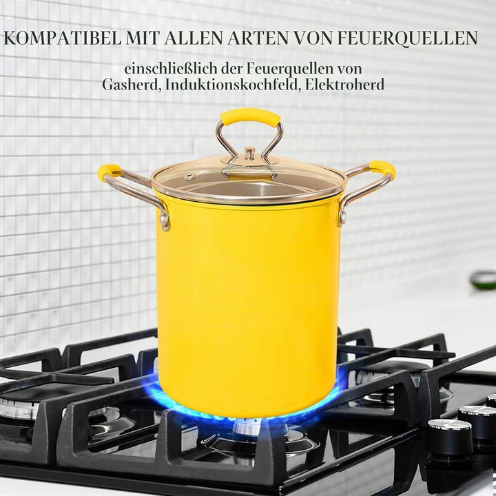 PARACITY 3 L Friteuse mit Siebkorb, Klein Frittiertopf öl mit Anti-Verbrühungs-Silikongriff, 304 Ede