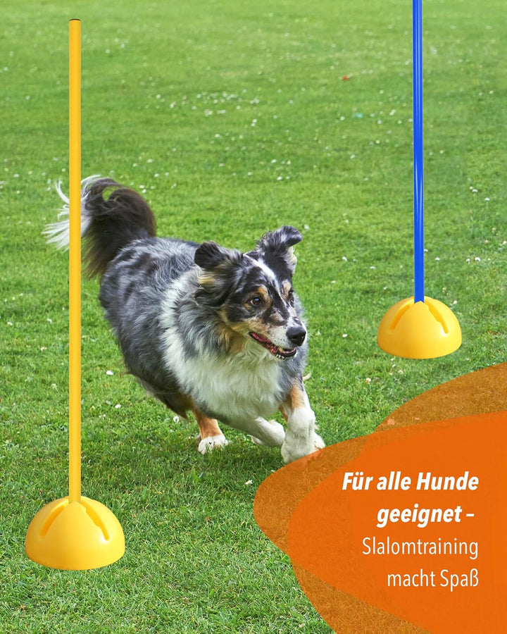 Kombi-X-Standfuss aus Kunststoff &amp; Slalomstange 100 cm – 4er Set – befüllbarer Standfuss – Stange fü