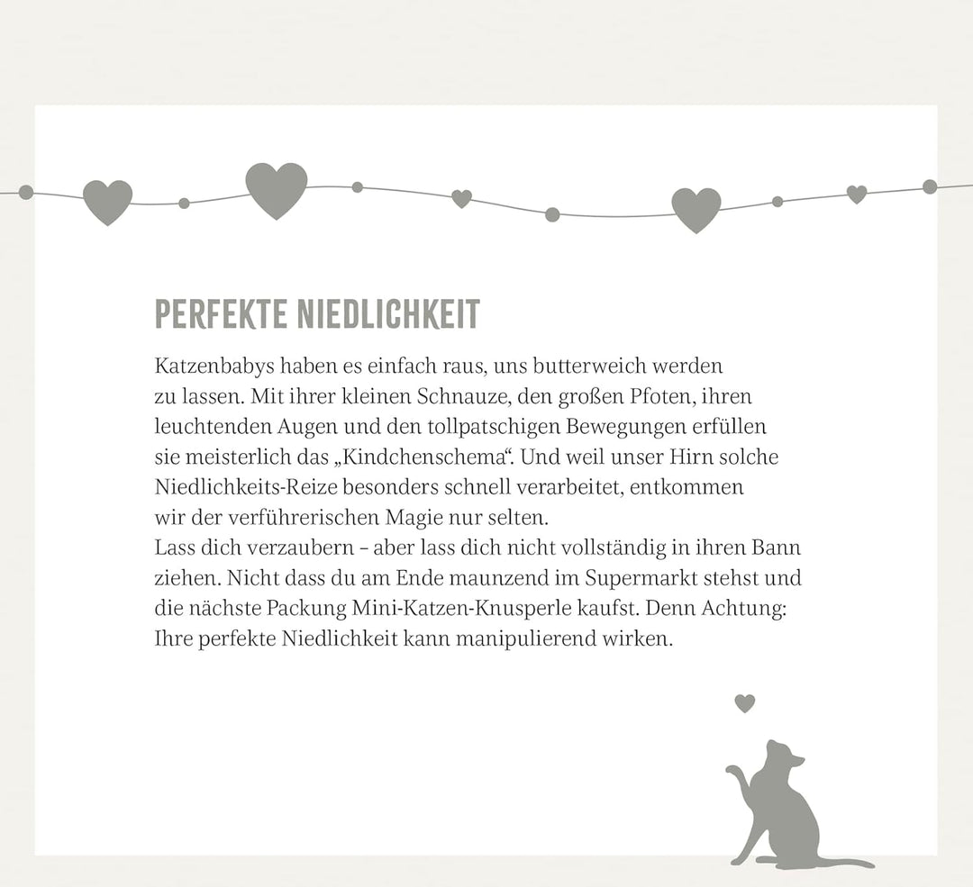 Wochenkalender 2025: Kluge Katzen: Katzenkalender zum Aufstellen mit Wochenkalendarium, Tischkalende