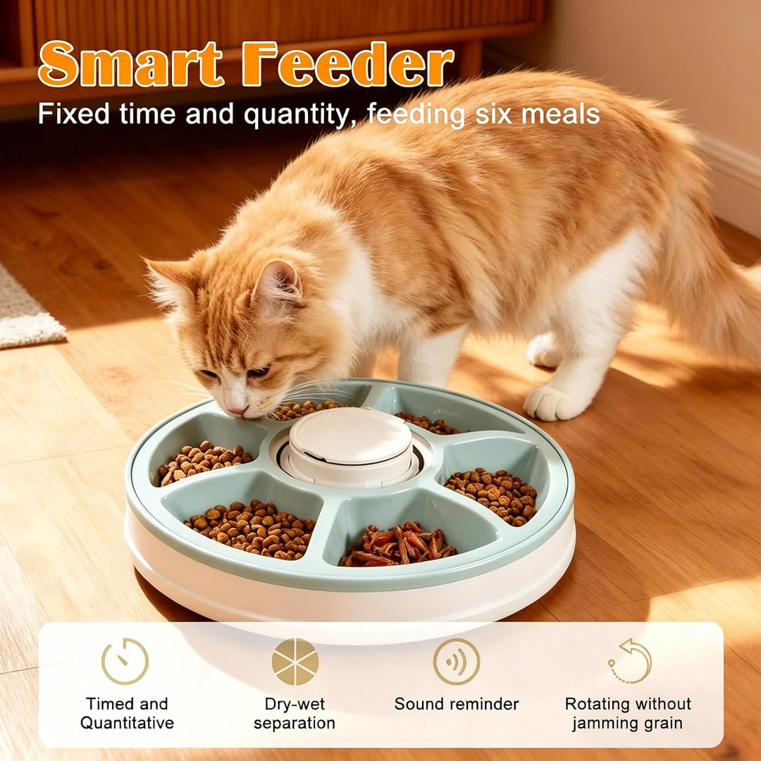 Futterautomat Katze, Futterautomat Katze Nassfutter, Nassfutterautomat für Katzen mit Timer, Katzenf