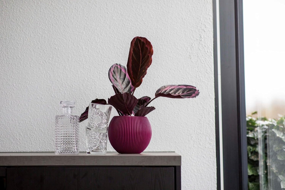 Capi Europe - Gefäss Kugel Groove Colours - 30x25 - Rosa - Öffnung Ø22 - Blumentopf für drinnen - 5