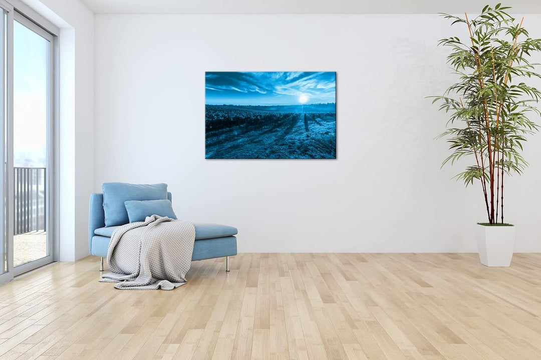 Traubenfeld in der Toskana Format 100x70 Effekt: Monocrome Blau als Leinwandbild, Motiv fertig gerah