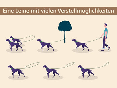 VlaMiTex D2 Freihandleinen Hundeleine Leder Hunde Führleine Fettlederleine Verstelbar 6 Farben (Brau