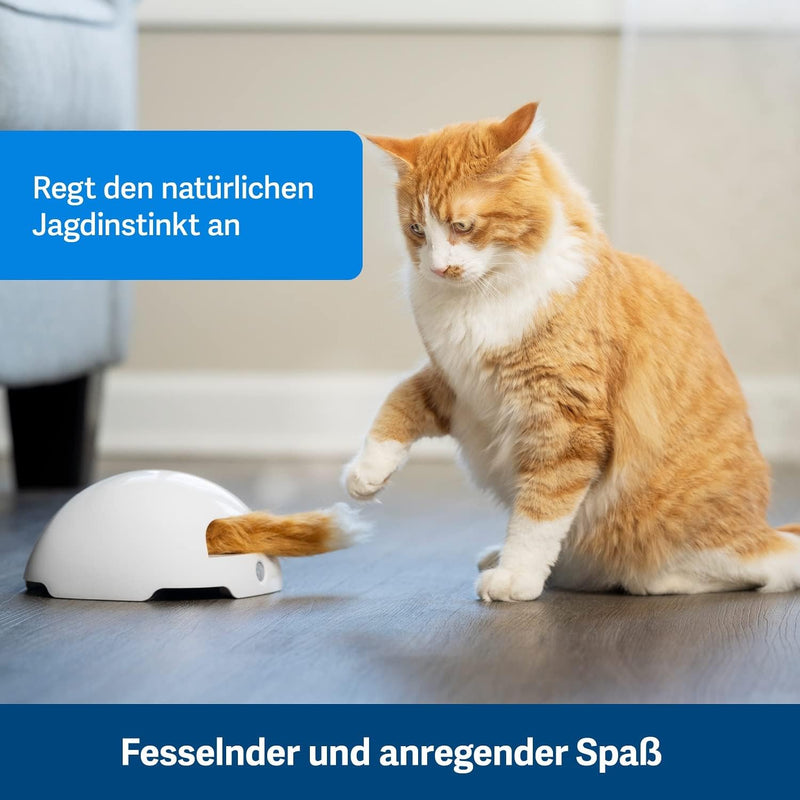 PetSafe Fuchsbau Katzenspielzeug, Interaktives Beschäftigungsspielzeug mit Fuchsschwanz, ‎3 AA Batte