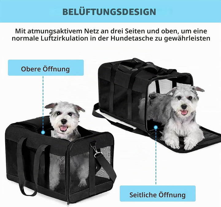 BYZESTY Transportbox Katze Hund Katzentransportbox Hundebox Faltbar Hundetransportbox Katzen Transpo