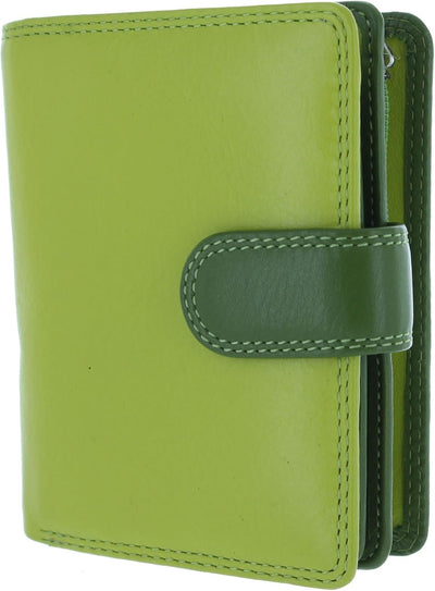 Visconti Leder Rainbow-Kollektion, Geldbörse BALI mit RFID-Schutz RB40 Grün Multi Lime Multi, Lime M