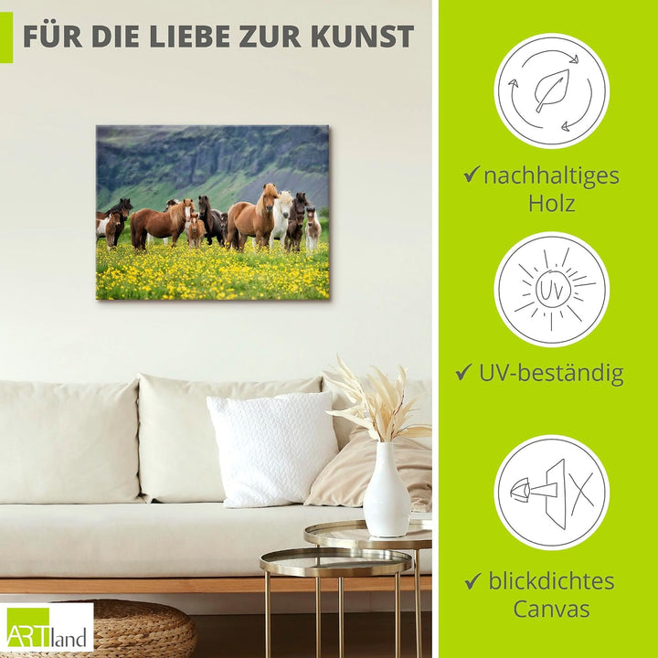 ARTland Leinwandbilder Wandbild Bild auf Leinwand 80x60 cm Wanddeko Pferd Wildpferde Herde Isländer