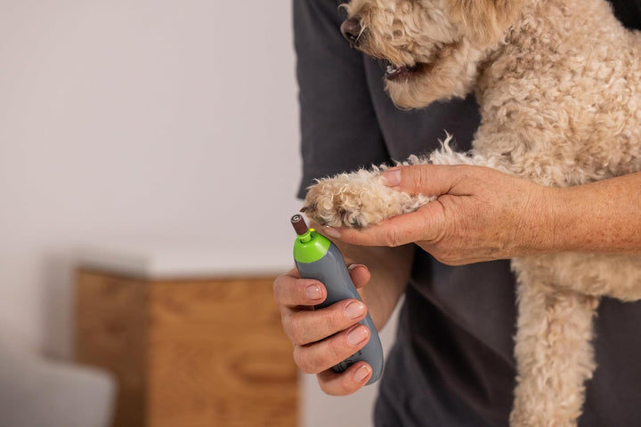 Wahl 2302-0050 Elektrischer Krallenschleifer - Zwei Grössen, 1 Stück (1er Pack)