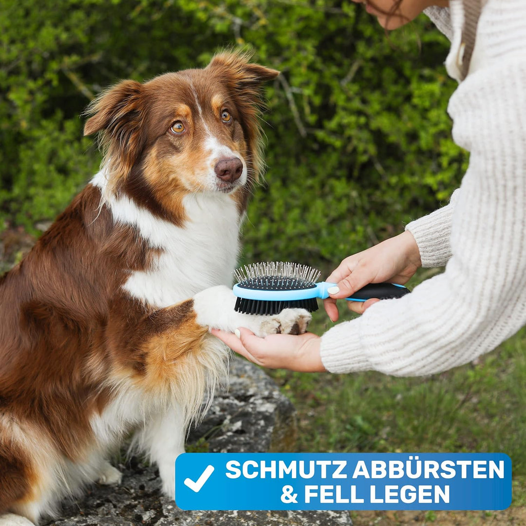 BluePet "DoppelDecker" 2in1 Hundebürste für Langhaar & Kurzhaar - Auch für Welpen & Katzen - Glätten