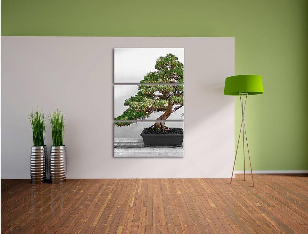 Pixxprint Bonsai Baum auf Holztisch als Leinwandbild | Grösse: 3 Teilig (120x80) | Wandbild| Kunstdr