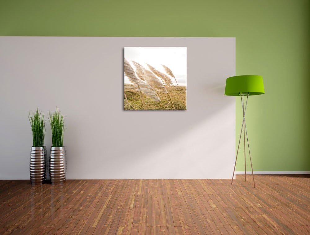 Pixxprint Schönes Schilf in den Dünen als Leinwandbild Quadratisch/Grösse: 70x70 / Wandbild/Kunstdru