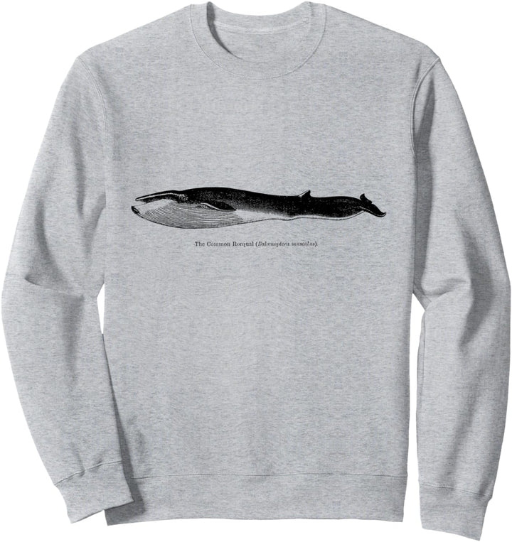 Common Rorqual Blue Wal Vintage Illustration Sweatshirt