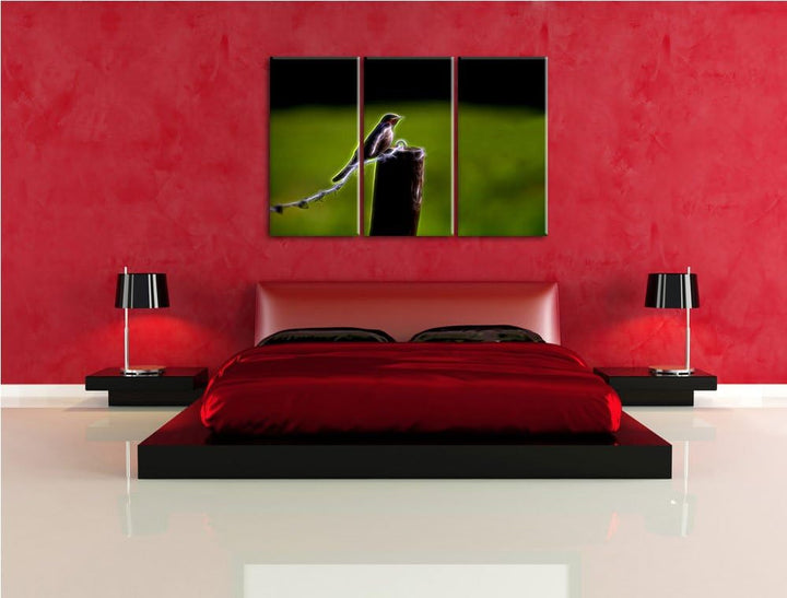 Dark junge Rauchschwalbe auf Stacheldraht NewArt 3-Teiler Leinwandbild 120x80 Bild auf Leinwand, XXL