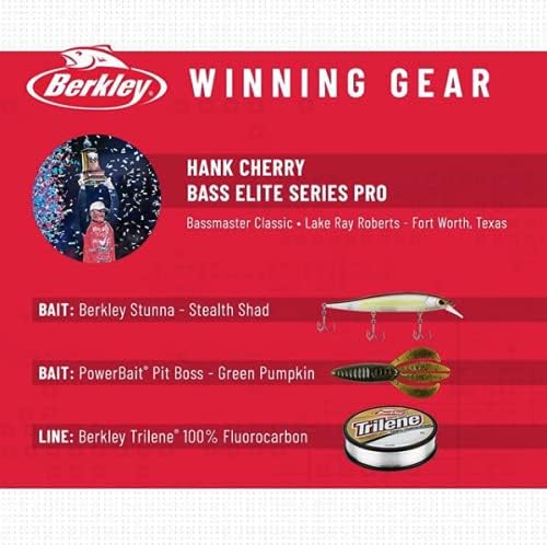 Berkley Berkley Stunna Fishing Hard Bait 2 Shad Filet 112mm - 1/2 oz, Shad Filet 112mm - 1/2 oz