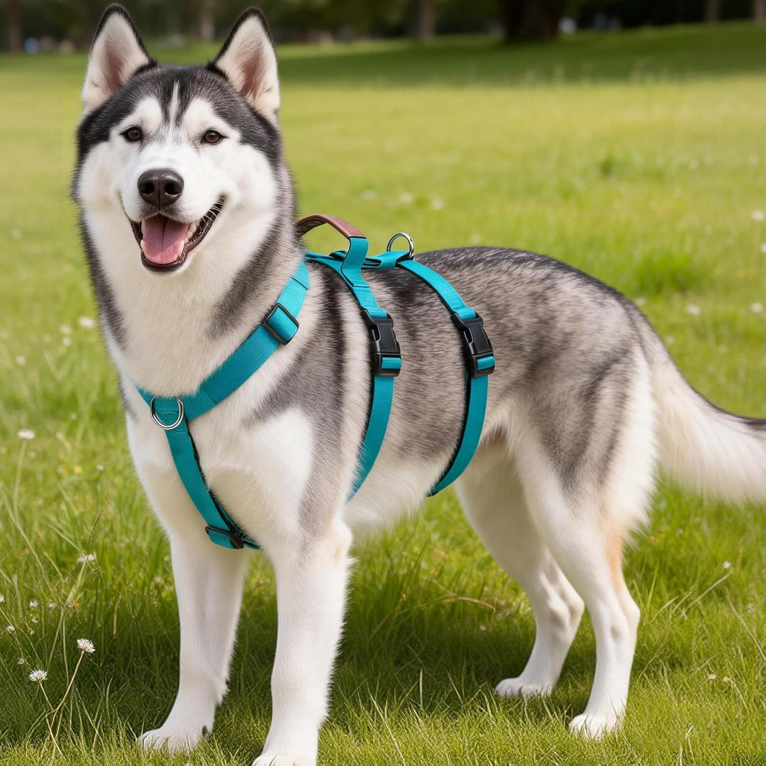 Hundegeschirr Ausbruchsicher, Anti Zug Sicherheitsgeschirr Hund, Verstellbare Brustgeschirr mit Gepo