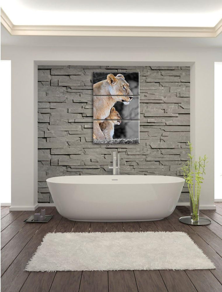 Pixxprint Löwenmutter mit Jungtier als Leinwandbild/Grösse: 3 Teilig (120x80) cm/Wandbild/Kunstdruck