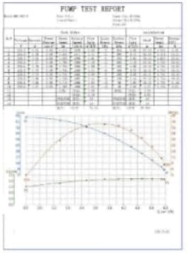 CHM GmbH Hauswasserwerk 100 L Edelstahl 1500 Watt, 8,5 Bar einstellbar mit LCD Display Gartenpumpe,