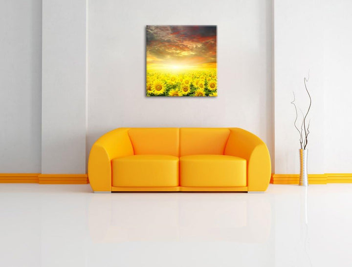 Sonnenblumenfeld, Format: 70x70 auf Leinwand, XXL riesige Bilder fertig gerahmt mit Keilrahmen, Kuns