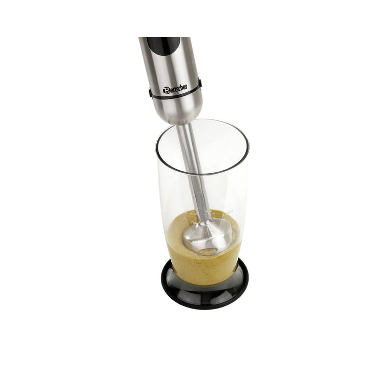 Stabmixer 130206