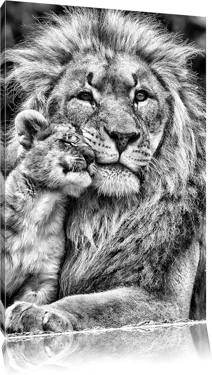 Pixxprint schöner Löwe mit Jungtier als Leinwandbild/Grösse: 100x70 / Wandbild/Kunstdruck/fertig bes