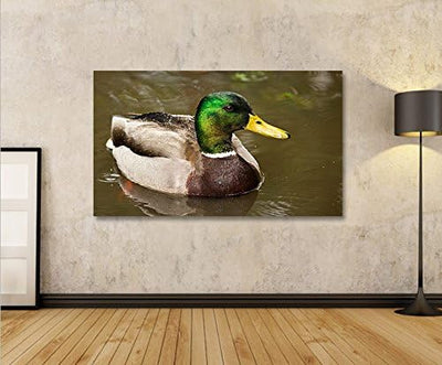 islandburner Bild Bilder auf Leinwand Erpel Ente Enten 1p XXL Poster Leinwandbild Wandbild Dekoartik