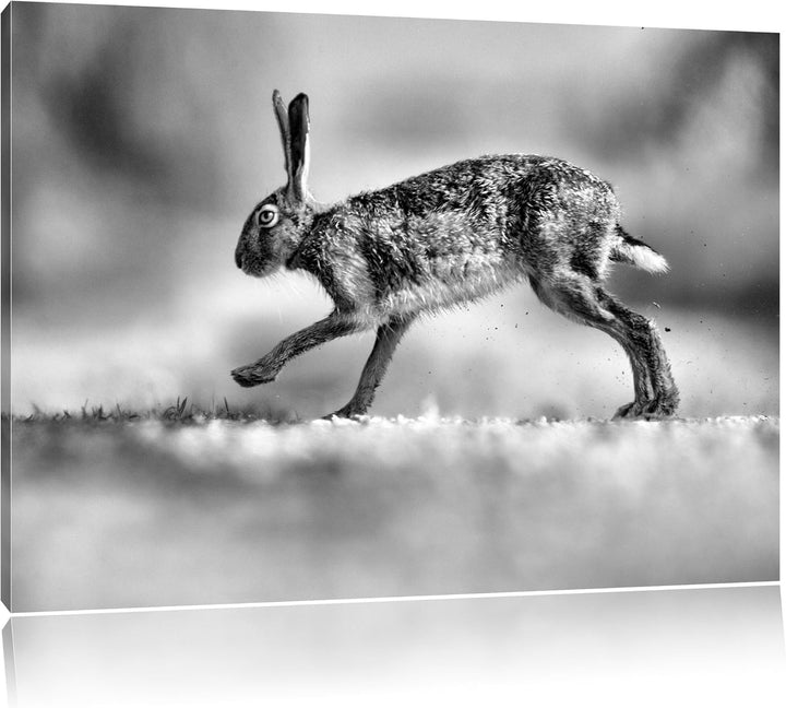 Monocrome, Hüpfender Hase, Format: 100x70 auf Leinwand, XXL riesige Bilder fertig gerahmt mit Keilra