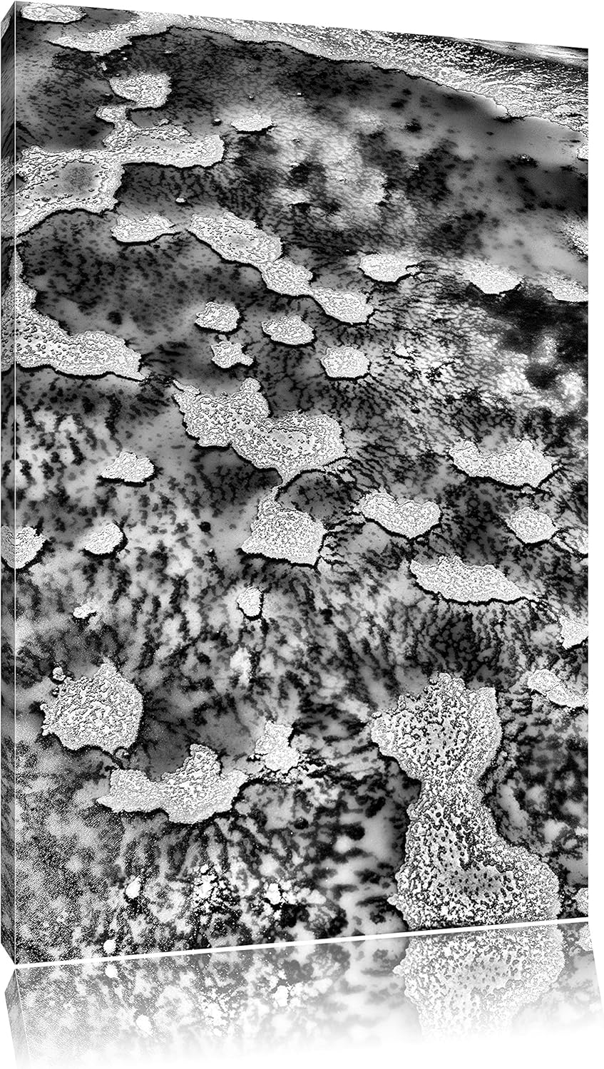 Pixxprint Korallenriffe Australien/Format: 100x70cm / Leinwandbild fertig bespannt Wandbild Kunstdru