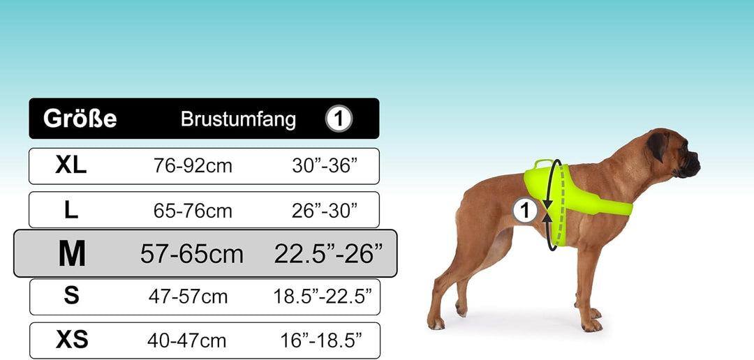 Hundegeschirr mit 3 Metallösen zur Befestigung Ihrer Brust oder Ihres Brustgurts, um Ihren Hals Nich