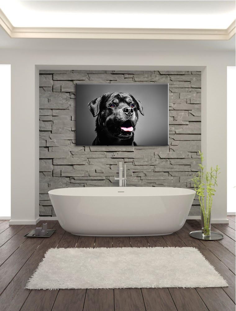 aufmerksamer Rottweiler schwarz/weiss Format: 100x70 auf Leinwand, XXL riesige Bilder fertig gerahmt