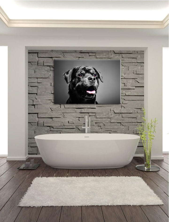 aufmerksamer Rottweiler schwarz/weiss Format: 100x70 auf Leinwand, XXL riesige Bilder fertig gerahmt