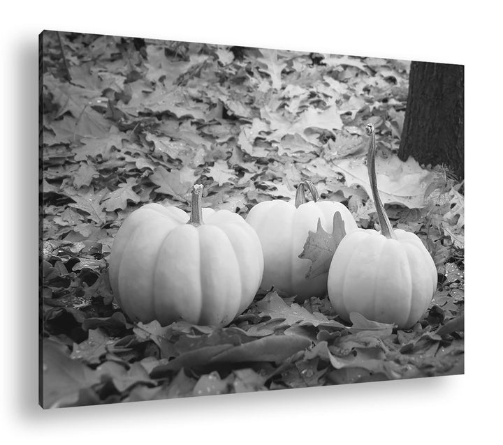 deyoli Herbstliche Kürbise Effekt: Schwarz&Weiss Format: 80x60 als Leinwandbild, Motiv fertig gerahm