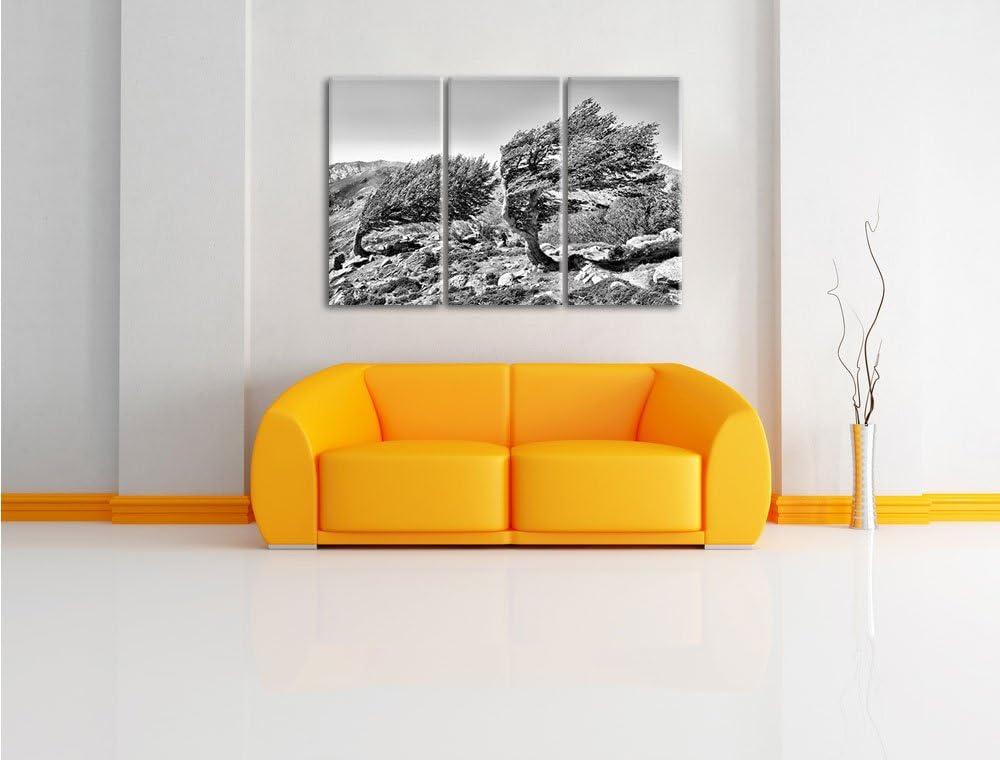 Pixxprint Schiefer Baum / 3-Teilig/Gesamtmass 120cm Leinwandbild bespannt auf Holzrahmen/Wandbild Ku