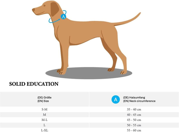 HUNTER SOLID EDUCATION Dressurhalsung für Hunde, Leder, weich, griffig, 55 (M-L), schwarz schwarz 55