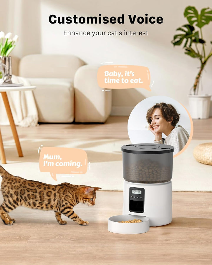 BEMOONY Futterautomat Katze, Katzenfutter Automat mit Programmierbarem Timer, 1-6 Mahlzeiten pro Tag
