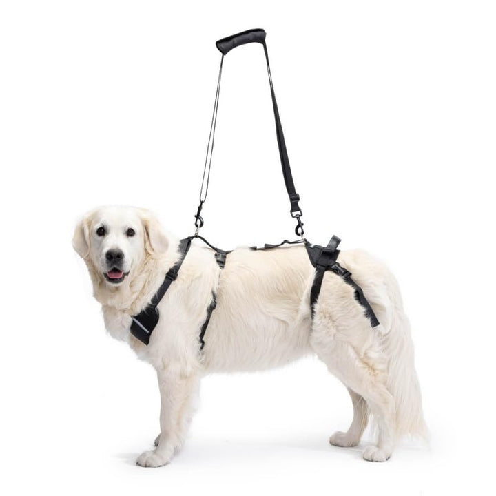 Ortocanis - Ganzkörper-Hundegeschirr zur Unterstützung von Vorder- und Hinterbeine, Grösse S Grösse