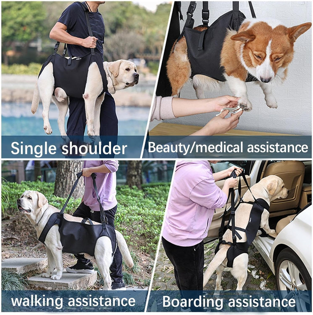 Hundetragegeschirr | Haustier-Rehabilitations-Tragegurt | Hundetragetuch | Hebegeschirr für Hunde |