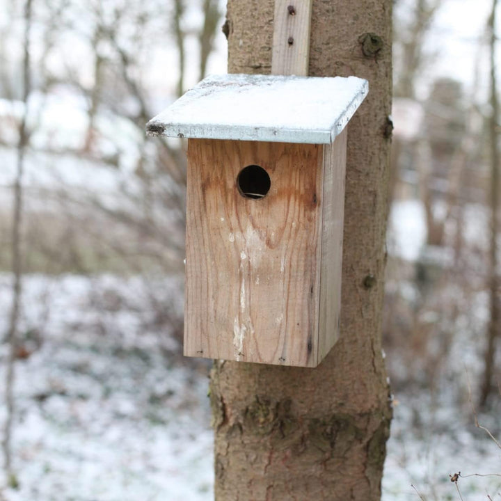 Esschert Design Beobachtungsvogel Nistkasten