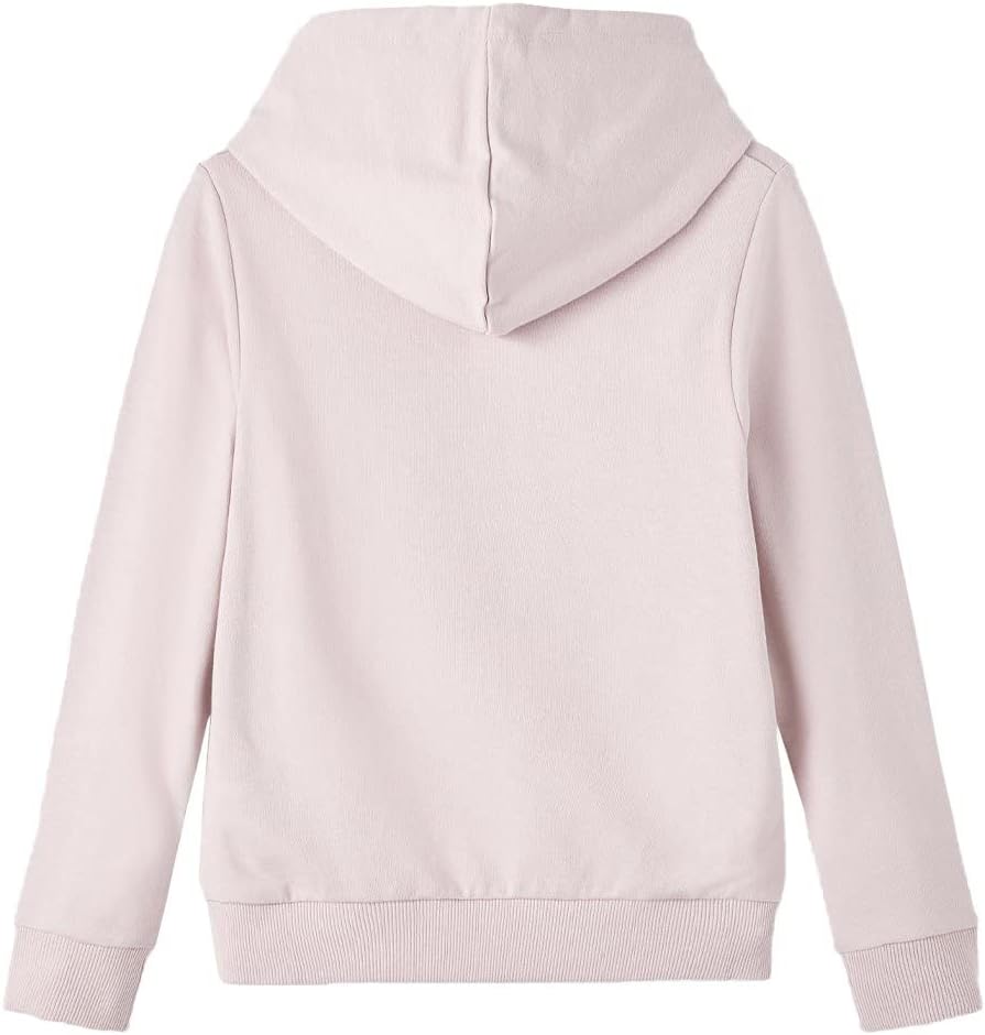NAME IT Mädchen Kapuzen Sweater aus Bio-Baumwolle 110 Burnished Lilac, 110 Burnished Lilac